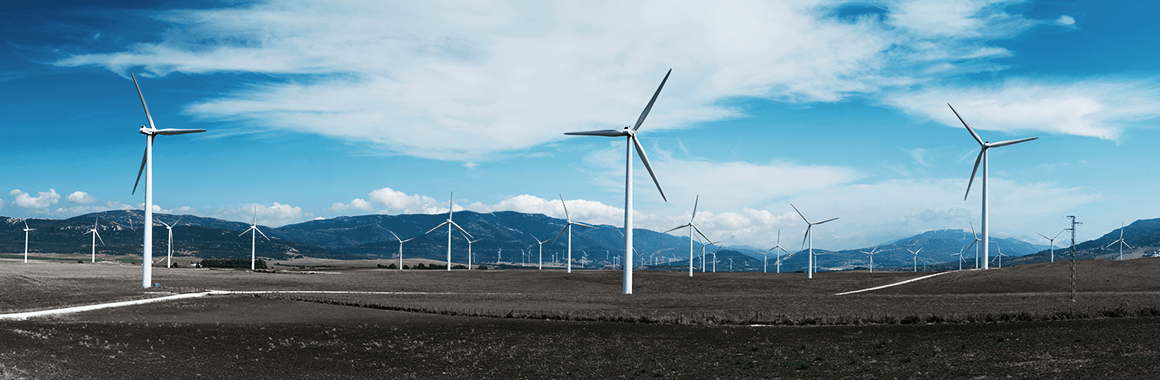 Top-5 Companies from Renewable Energy Sector