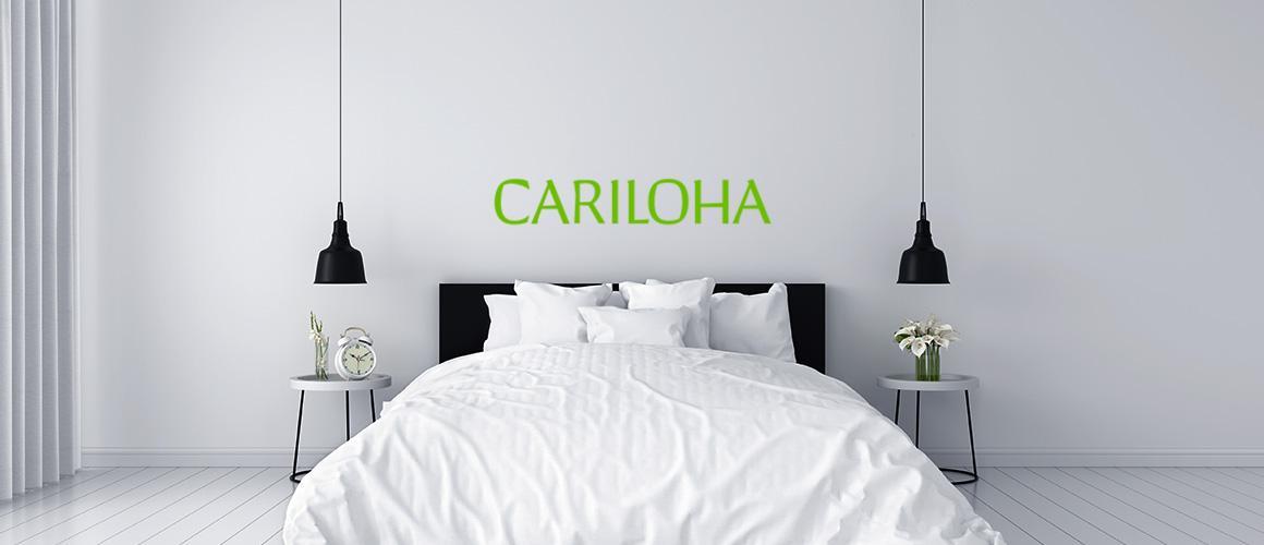IPO of Cariloha: “Green” Investments in The Future