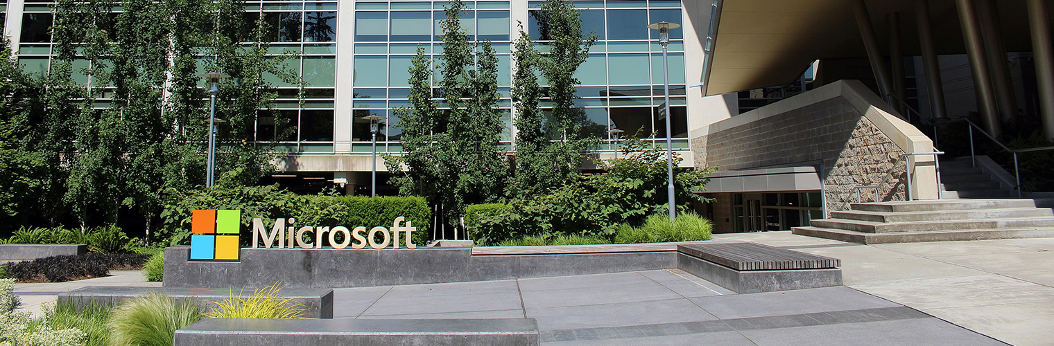 Microsoft shares grew moderately