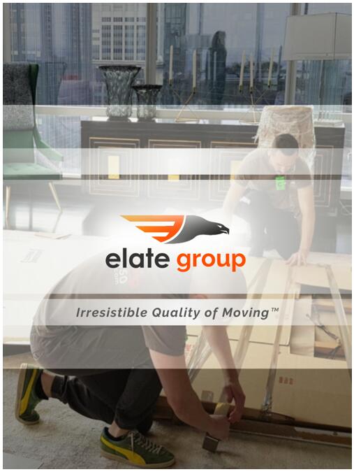 Elate Group in short