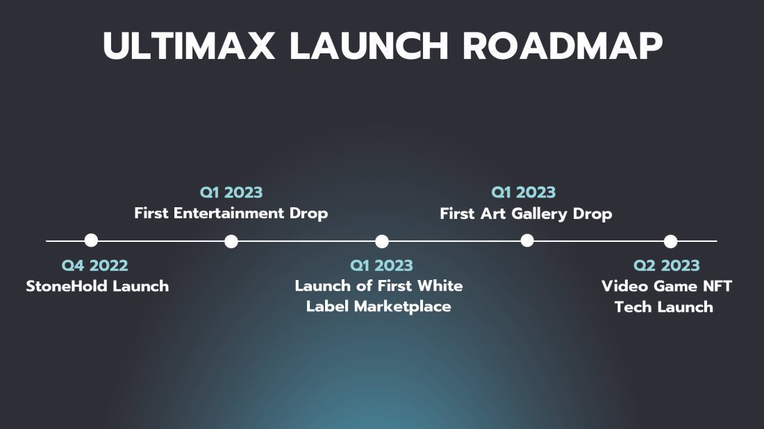 Business development project of Ultimax Digital