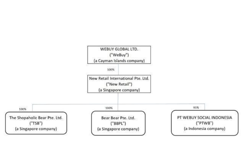 Organisational chart of WeBuy Global Ltd.